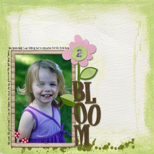 Bloom