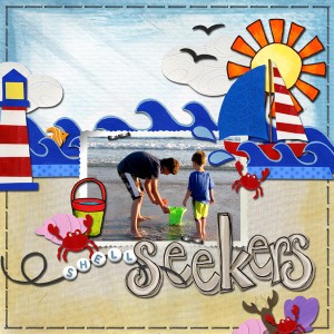 shell seekers