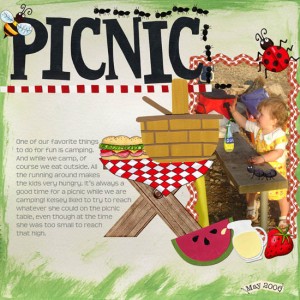 Picnic