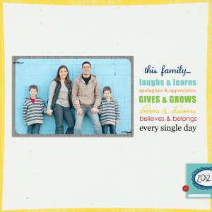 2012 cover for p365