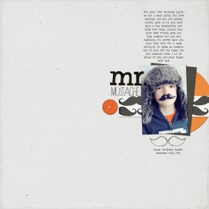 mr. mustache