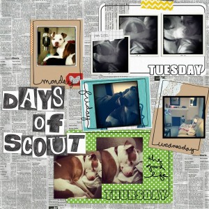 Days of Scoutie Lou