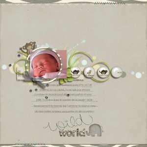 Wild world