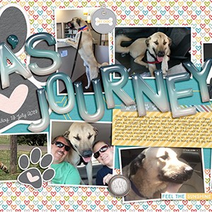 2019_07-13-Koa's-Journey