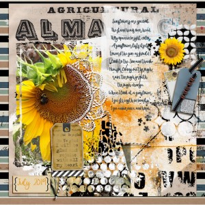 My Sunflowers_700