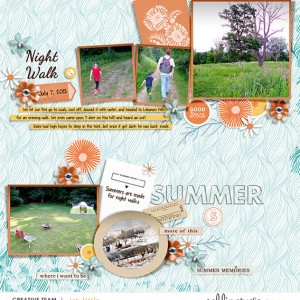 20120707 Summer Night Walk
