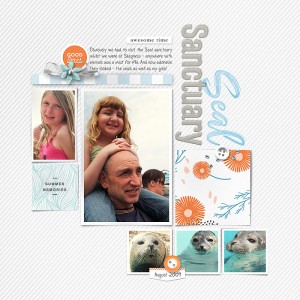 Seal Sanctuary