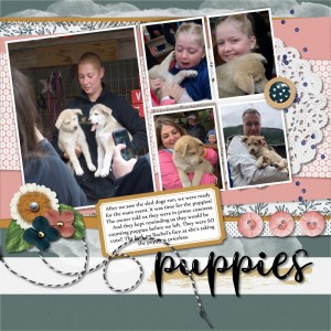 FDD July Challenge