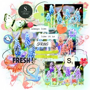 Pink Reptile Designs-August-Template Challenge-Bursting With Color