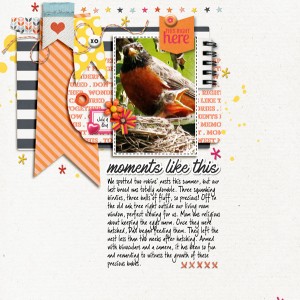 Pink-Reptile-Designs_2019-08_August-BYOC_Moments-Like-This_web