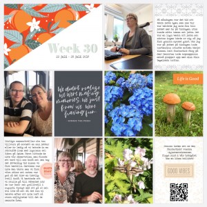 Pocketpage week 30, page 1