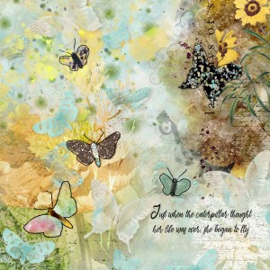 Lily-pad-nbk-july-august-brush