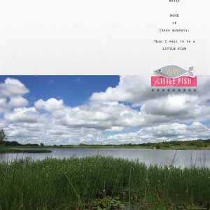 LittleFish