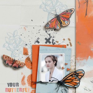 Butterfly