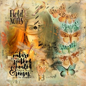 Scraplift Challenge-August-SeattleSheri-Metamorphosis