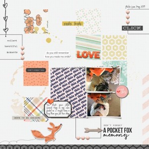 PocketFox082019SC-SS118T&SCdaydreamT1