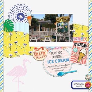 Flamingo Crossing Ice Cream