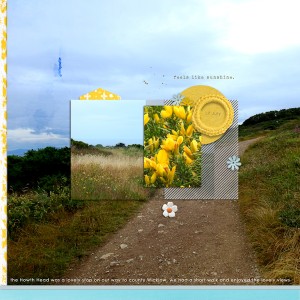190717_howth Head01