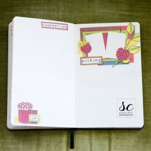 Bujo: Raspberry Picking