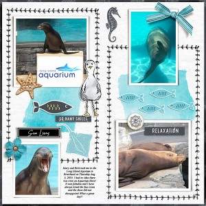 Sea Lions