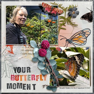 Butterflies