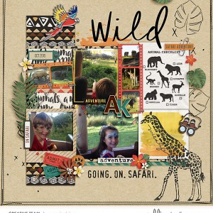 Going On Safari