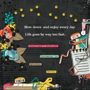 Enjoy Every Day