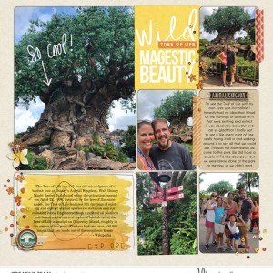 The Tree of Life