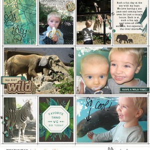 exploring the zoo