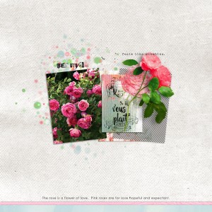 Lily-pad-august-template