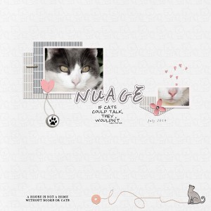 Nuage