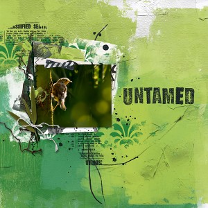 Untamed
