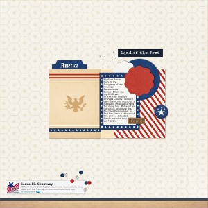 DAR Patriot