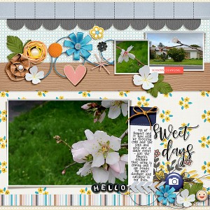 Spring