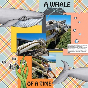 SwL_whaleofatime