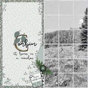 08-19_Day-4_Meadow