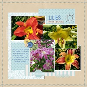 Lilies