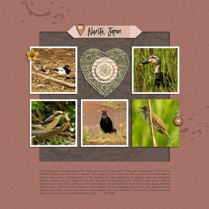 Narita Birdlife