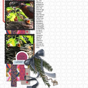 Sahin-Designs_2019-08_August_Day6_web