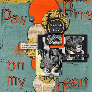 Pawprints on my heart