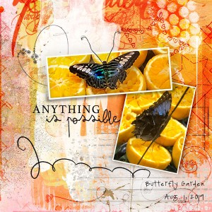 Butterfly Garden