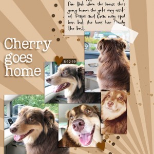 08-19_CherryGoesHome