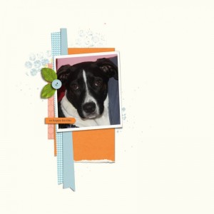 Aug-scraplift