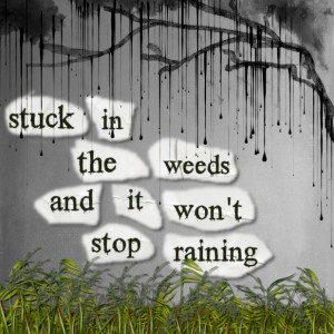 Stuck In The Weeds