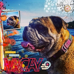Vacay