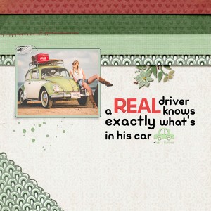 Driver