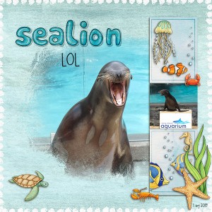 Sealion