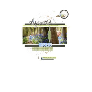 Bluebell Day