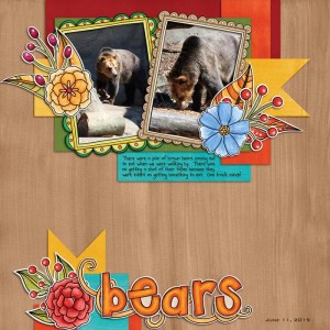 Bears