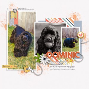 Dominic